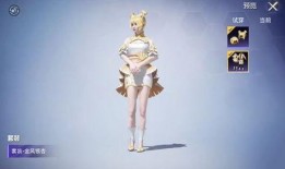 和平精英中转盘下一期最新爆料